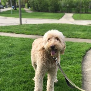 Meet your Posher, Hope